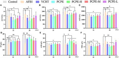 Penthorum Chinense Pursh Extract Alleviates Aflatoxin B1-Induced Liver Injury and Oxidative Stress Through Mitochondrial Pathways in Broilers